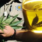 Basic information about cannabis oil for medical uses
