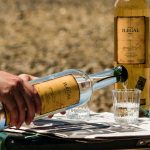 Buy Mezcal Online to Get Something Different from Tequila