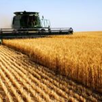 Maximizing Yield and Sustainability - LIMS Implementation in Agriculture