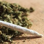 Recovery Marijuana for a number of healing causes